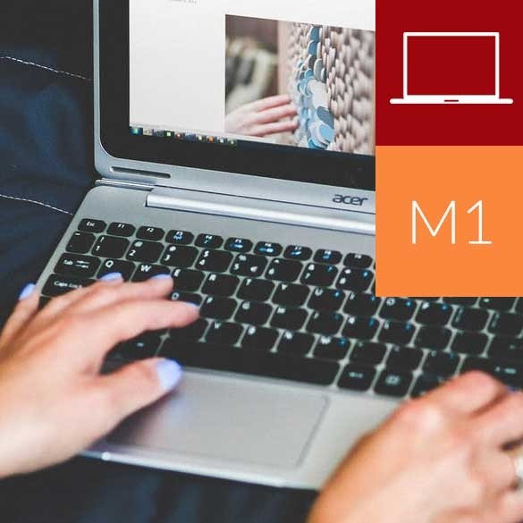 Magento 1 Online Training